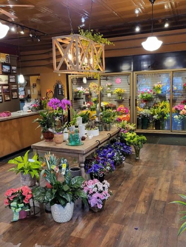 5192768246195621639 blank