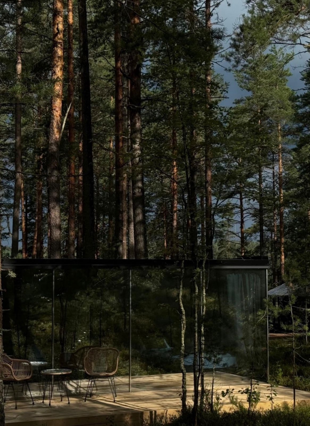 whatsapp-image-2025-08-26-at-18.04.35