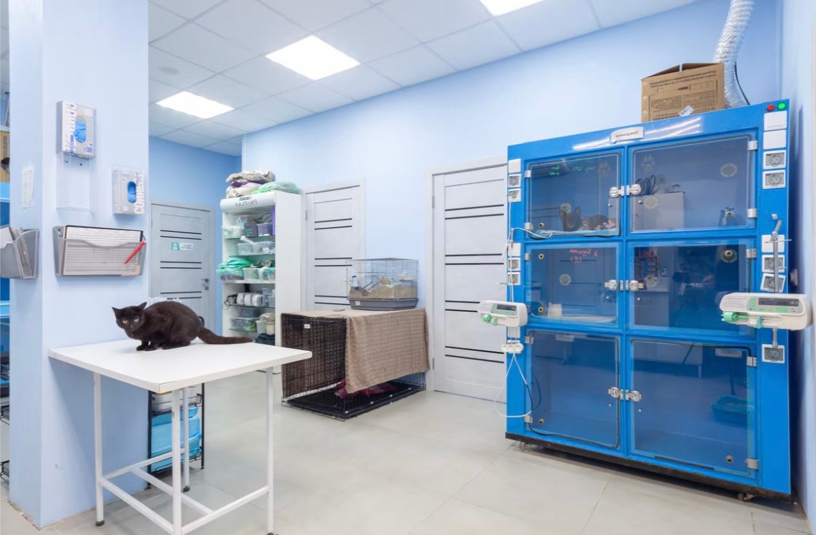 whatsapp-image-2025-11-26-at-17.50.08-2