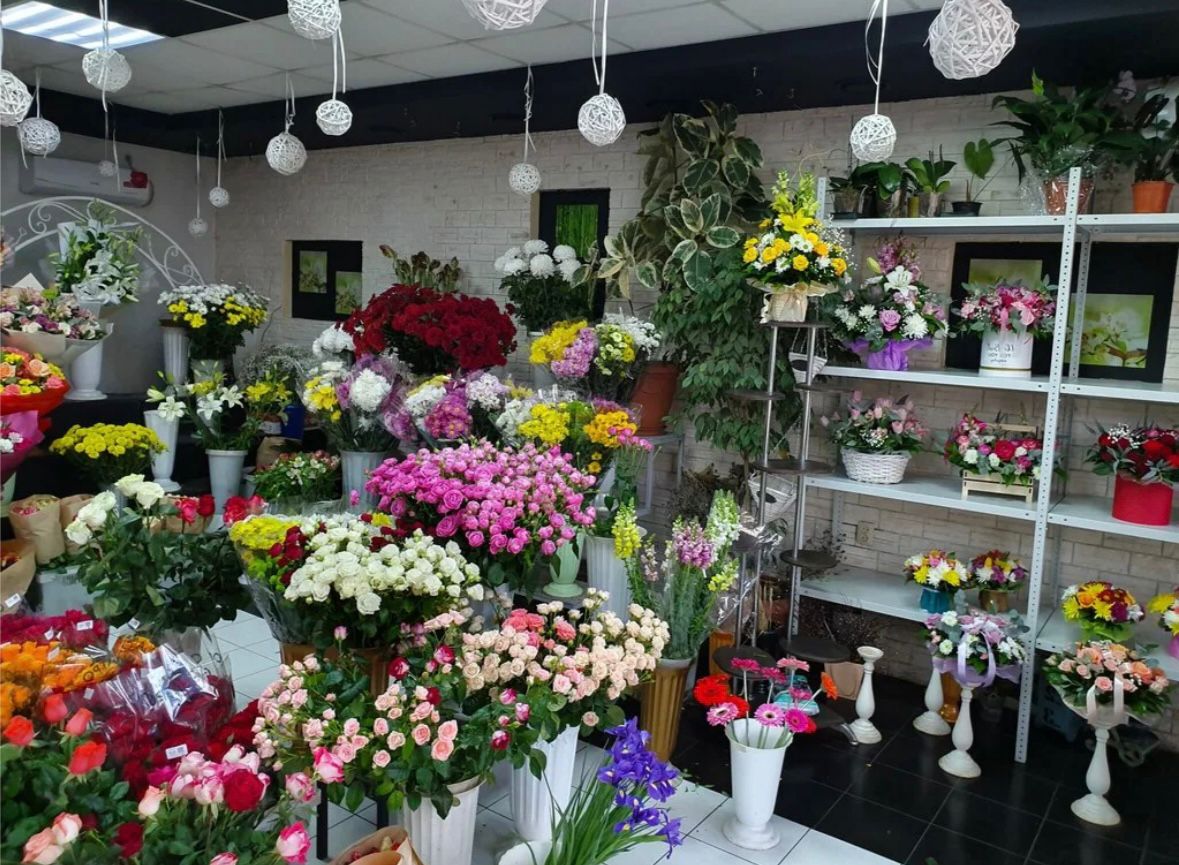 whatsapp-image-2025-12-03-at-12.06.59