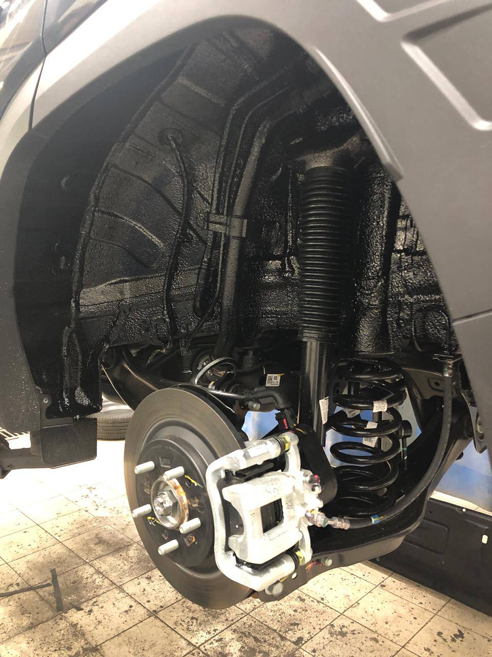 photo_2026-01-22_17-36-16 blank