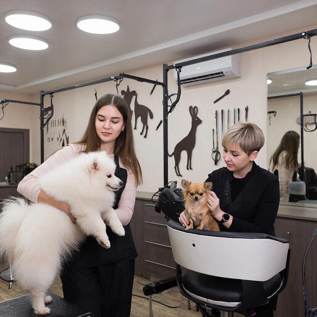 photo_2026-02-02_14-03-47