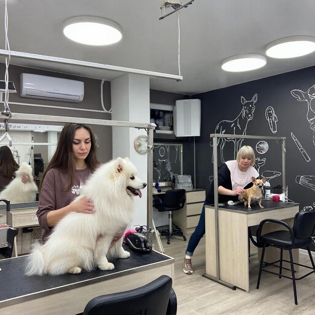 photo_2026-02-02_14-09-13 blank