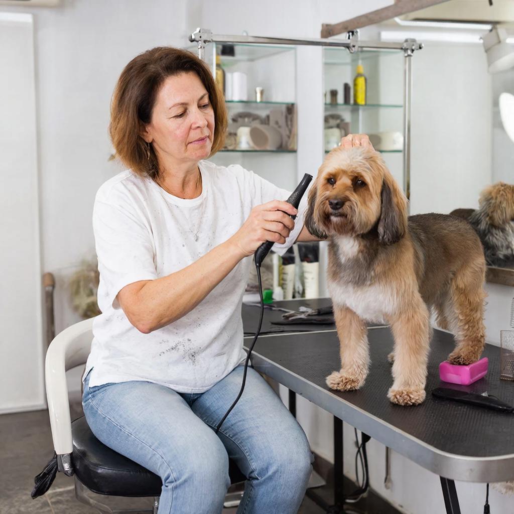 photo_2026-02-02_14-24-46 blank