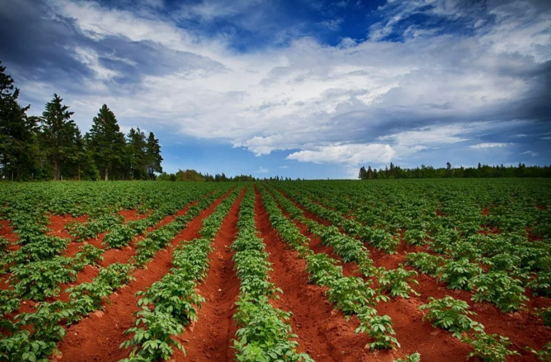 2026-01-13_16-56-35 blank