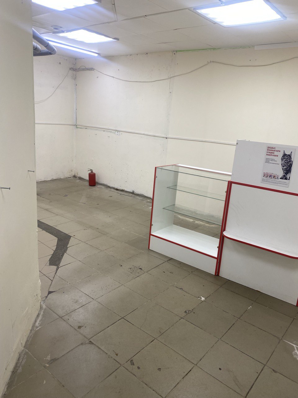 photo_2026-01-27_18-20-31